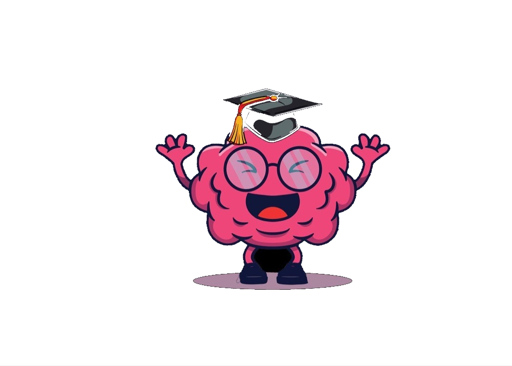 Juichend Meesterbrein-mascotje bij ons volledige vakkenaanbod